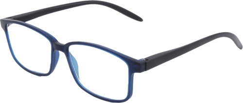 Očala za branje, dioptrija: +1,00, modro-črna visiomax