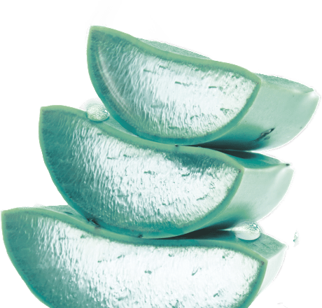 Denný a nočný pleťový gél Hyaluronic Aloe Jelly GARNIER