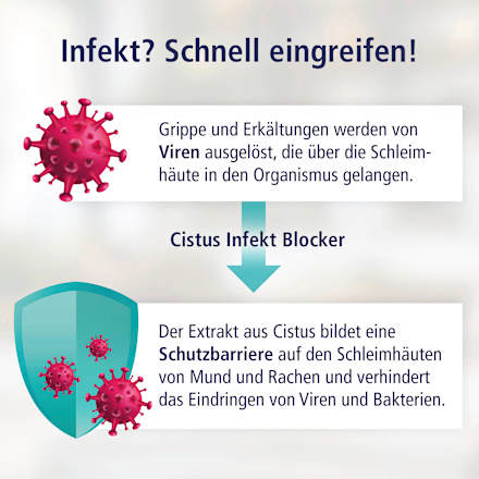 Cistus Infekt Blocker Klosterfrau