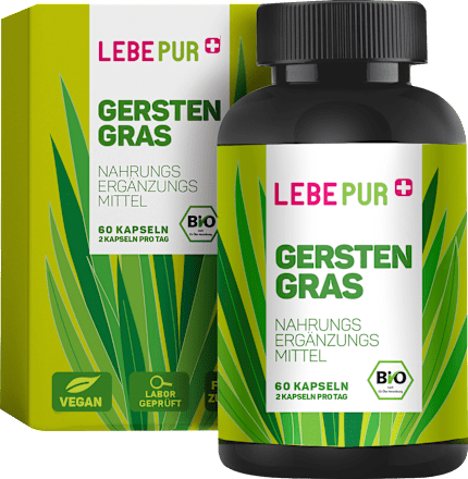 Gerstengras Lebepur