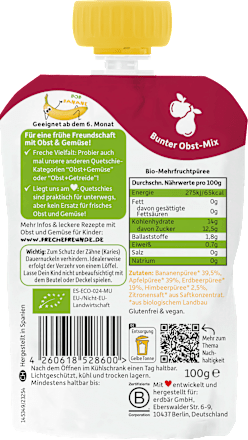 Quetschie Banane, Apfel, Erdbeere & Himbeere ab 6 Monaten  Freche Freunde