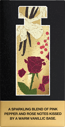 Black Woman de Toilette Mexx