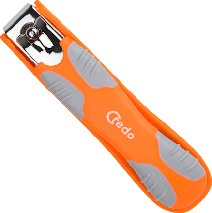 Noktarica – velika  Credo