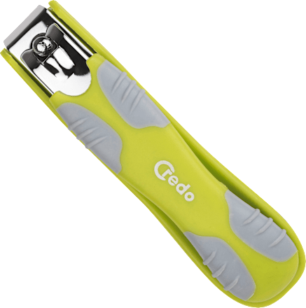 Noktarica – velika  Credo