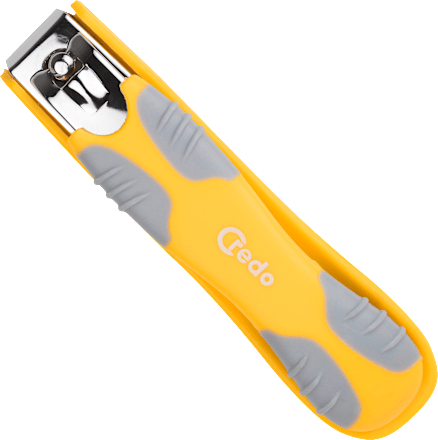 Noktarica – velika  Credo