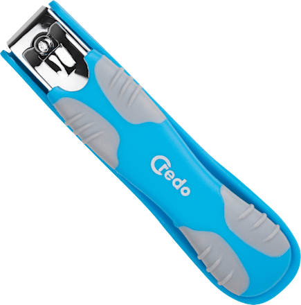 Noktarica – velika  Credo