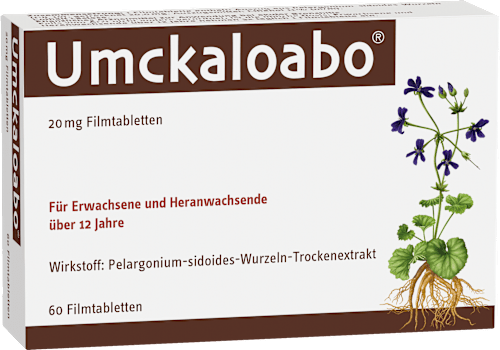 Umckaloabo 20mg Filmtabletten, Pelargonium-sidoides-Wurzeln-Trockenextrakt Umckaloabo