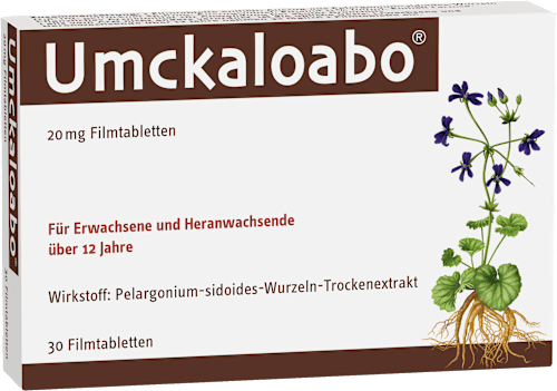 Umckaloabo 20mg Filmtabletten, Pelargonium-sidoides-Wurzeln-Trockenextrakt Umckaloabo