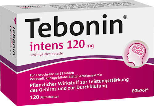 Tebonin intens 120mg Filmtablette Tebonin