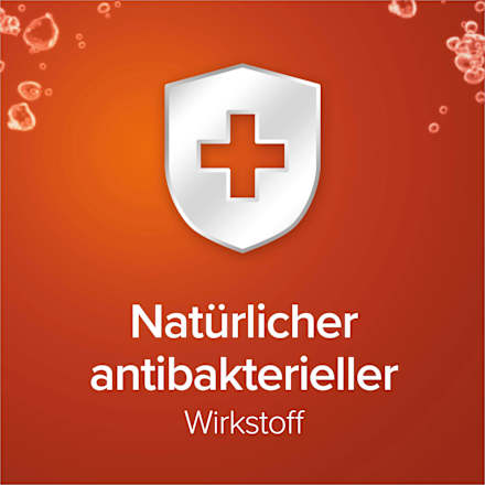 Flüssigseife Hygiene Plus Family Nachfüllpack Palmolive