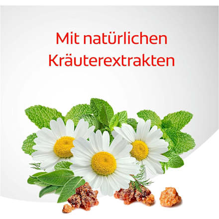 Zahnpasta Komplett 8 Colgate