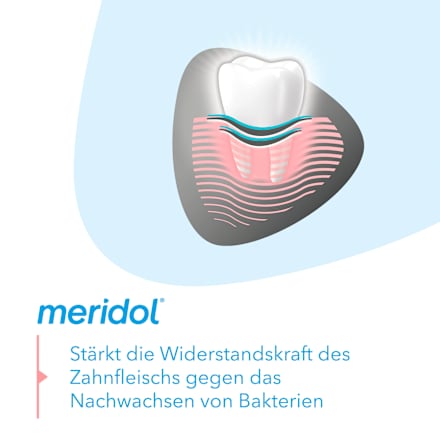 Zahnpasta Zahnfleischschutz Sanftes Weiss meridol