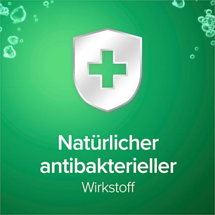 Flüssigseife Hygiene Plus Nachfüllpack Palmolive