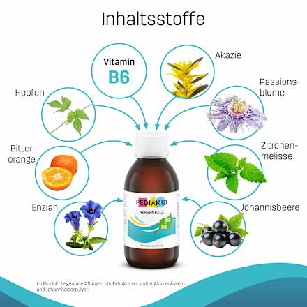 Nervenheld Vitamin B6 PEDIAKID