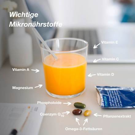 Orthomol Mental Granulat/Kapseln 15 St orthomol