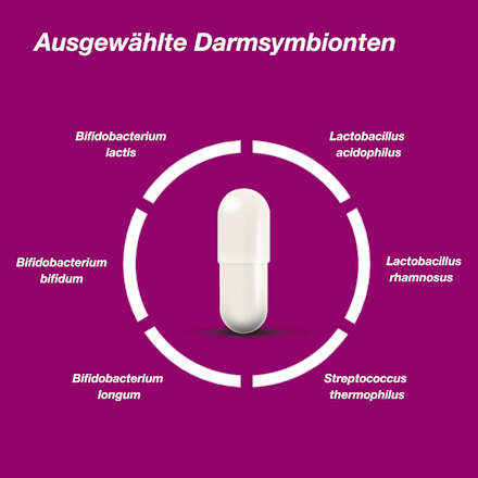 Orthomol Pro 6 Kapseln 10 St orthomol