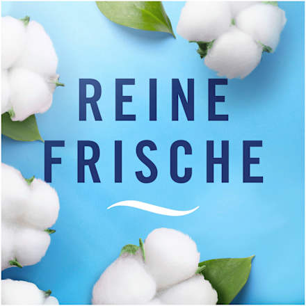 Textilerfrischer Winterfrische  Febreze
