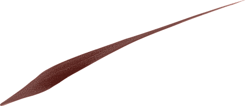 Eyeliner Precision Felt 02 Brown L'ORÉAL PARiS