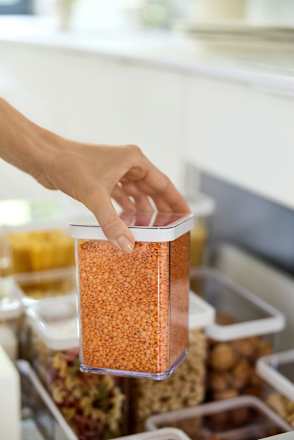 Vorratsaufbewahrung mit Deckel, transparent (1 l) rotho