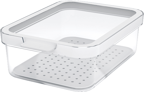 Kühlschrankorganizer mit Deckel & Einsatz, transparent (1,2 l) rotho