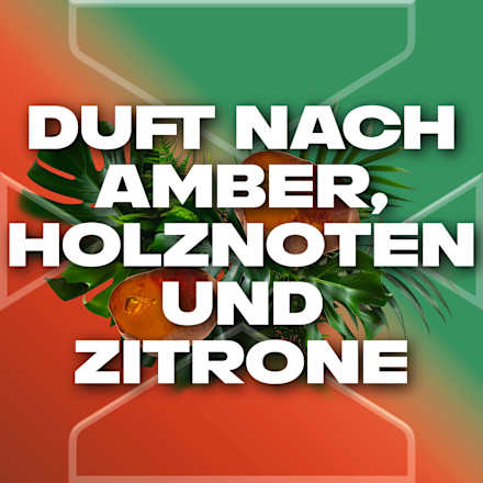 Bodyspray Jungle Fresh Palm Leaves & Amber Scent AXE