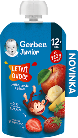 Junior příkrm v sáčku Letní ovoce Gerber