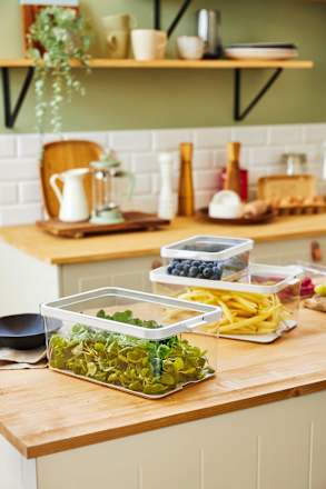 Kühlschrankorganizer mit Deckel & Einsatz, transparent (1,2 l) rotho