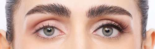 Künstliche Wimpern Salon Lash N°2 Half Lash (1 Paar) Eylure