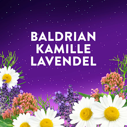 Wick ZzzQuil Gute Nacht Intens Weichgummies, Waldfruchtgeschmack 60 St WICK