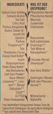 Festes Duschgel Ocean Dive Bio-Aloe Vera & Meersalz Santé naturally.