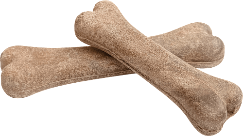 Kausnack Hund Insecta Bone mit Insekten, big (2 Stück) DeliBest