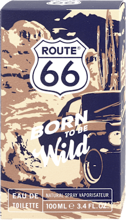 Born to be wild EDT męski Route 66