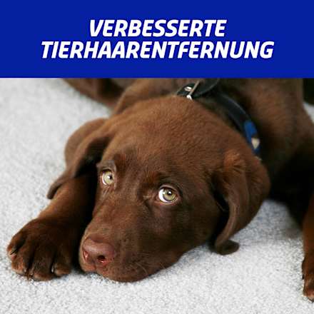 Teppich und Polster Power Schaum Vanish