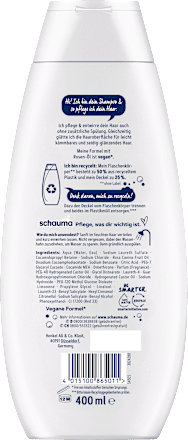 Shampoo Seiden-Kamm schauma