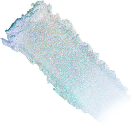 chameleon chrome highlighter – 11432054 Venus Swing wet n wild