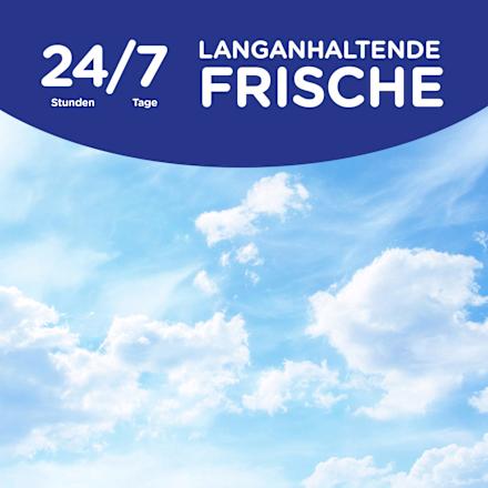 Weichspüler Windfrisch 45 WL Softlan