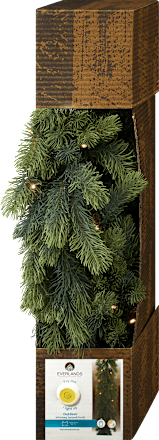 LED Girlande, Indoor & Outdoor (180 cm) Dekorieren & Einrichten