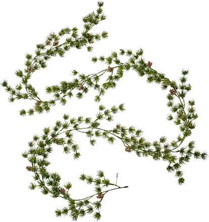 Girlande aus Kunststoff, Kieferzweige mit kleinen Zapfen, gold beglittert (180 cm) Dekorieren & Einrichten
