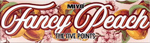 Paleta cieni do powiek Five Points 10 Miyo