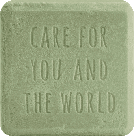 Feste Gesichtsreinigung Pore Control  Santé