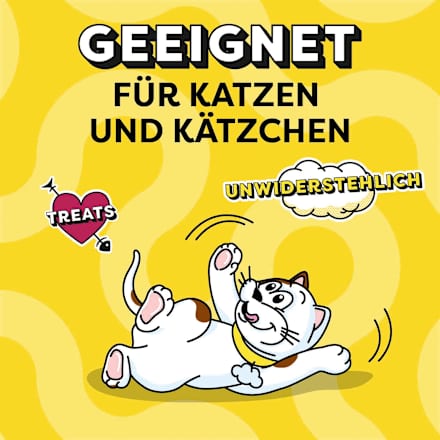 Katzenleckerli mit Käse Dreamies