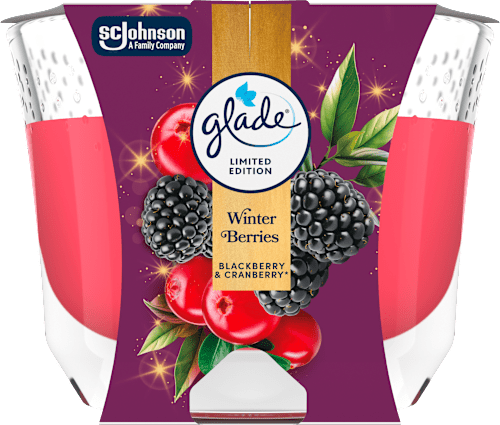 Dišeča sveča v kozarcu Winter Berries glade