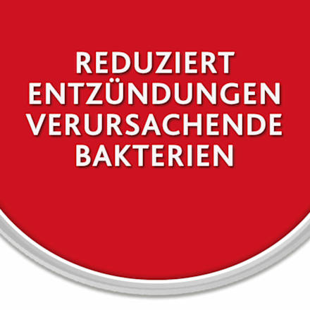 Chlorhexamed FORTE alkoholfrei 0,2 % Chlorhexamed