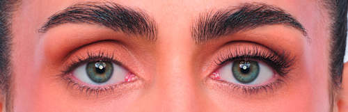 Künstliche Wimpern Fluffy  Eylure