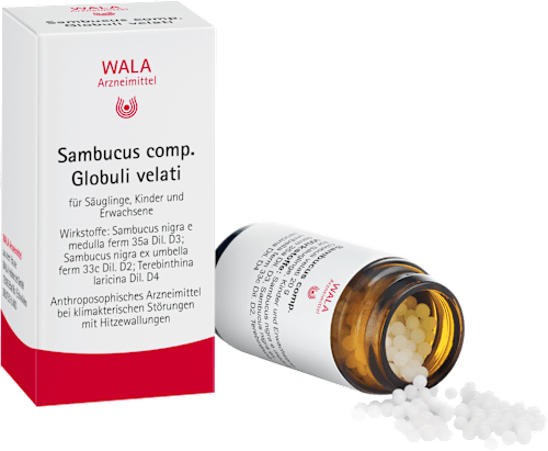 WALA Sambucus comp. Globuli velati WALA