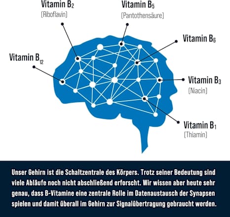 orthomol Quick Brain Tabletten 7 St orthomol