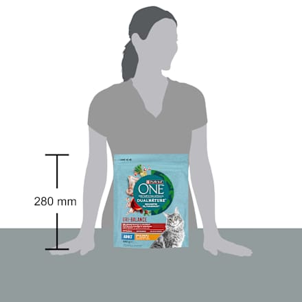 Trockenfutter Katze mit Huhn & Cranberry, dual nature uri balance  PURINA ONE