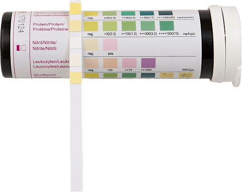 Urin-Kontrolltest Elanee