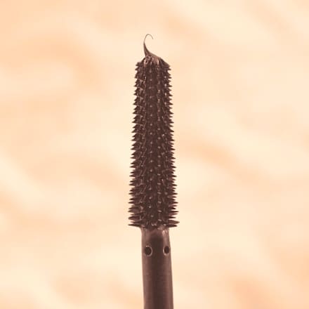 Mascara Lash Without Limits Brown Extreme Lengthening & Volume Feelin' Comfy 01 Lash Cocoon essence