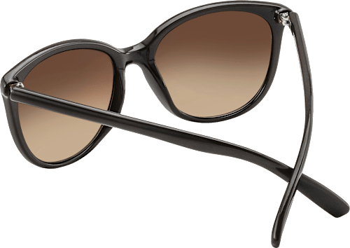 Sonnenbrille Erwachsene, braunes Gestell, braun getönte Gläser SUNDANCE